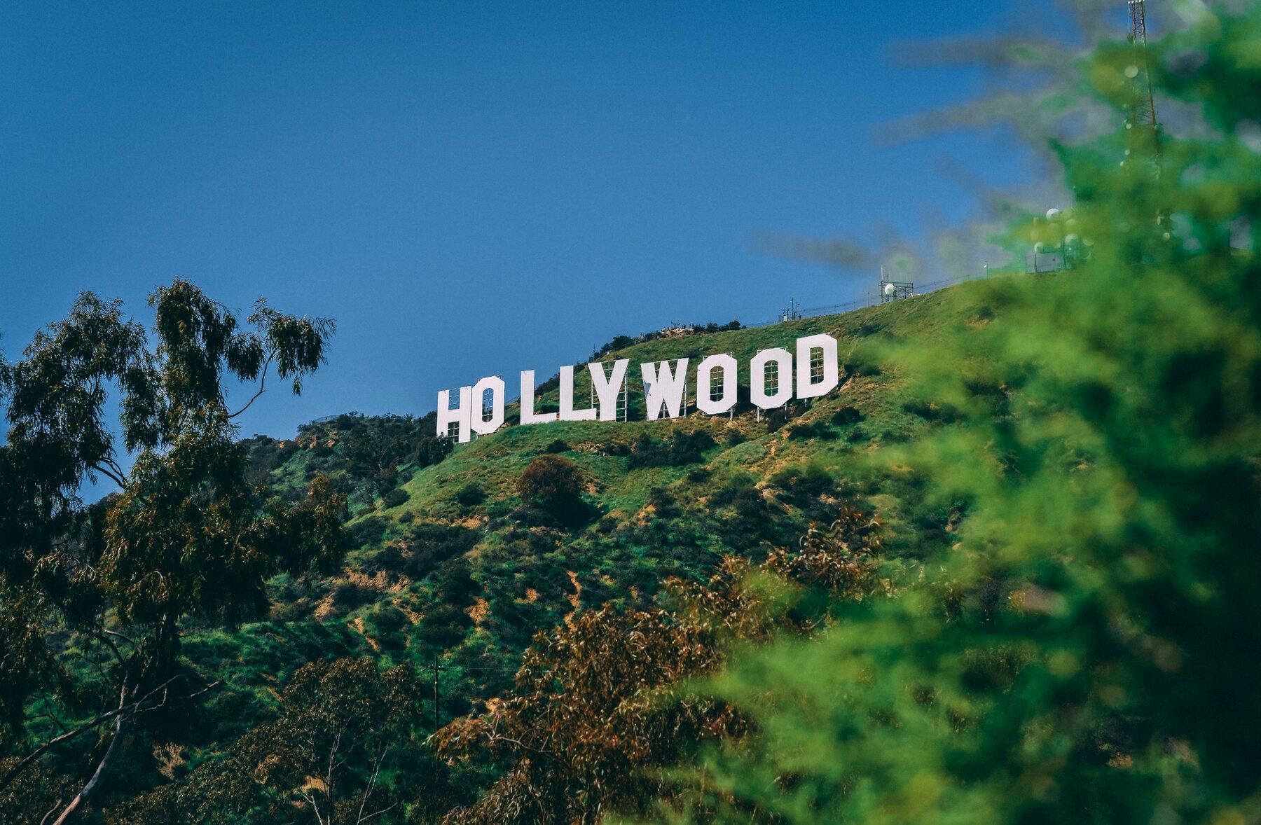 Hollywood Sign framed by green trees in Los Angeles